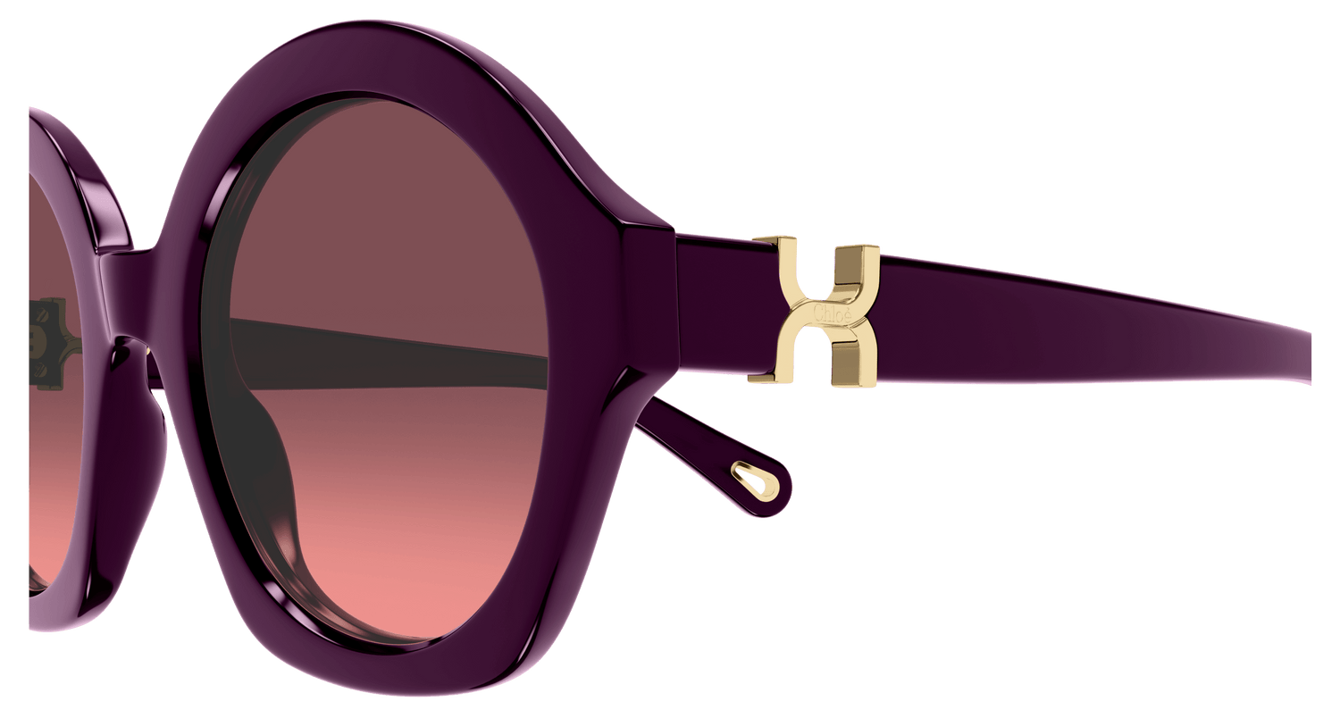CHLOÉ CH0302S 005 53