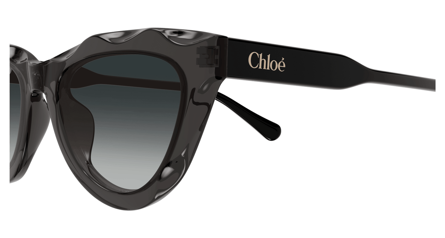 CHLOÉ CH0294S 001 52