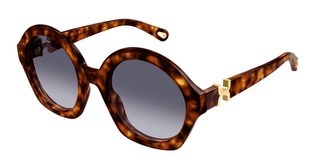 Translation missing: es.seo.product.type.gafas-de-sol chloé ch0302s 002 havana round femenino talla 53mm - Translation missing: es.seo.product.alt.imagen-principal