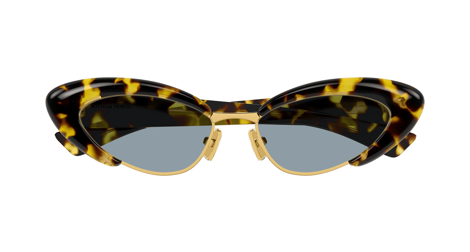 Bottega Veneta BV1387S 002 54