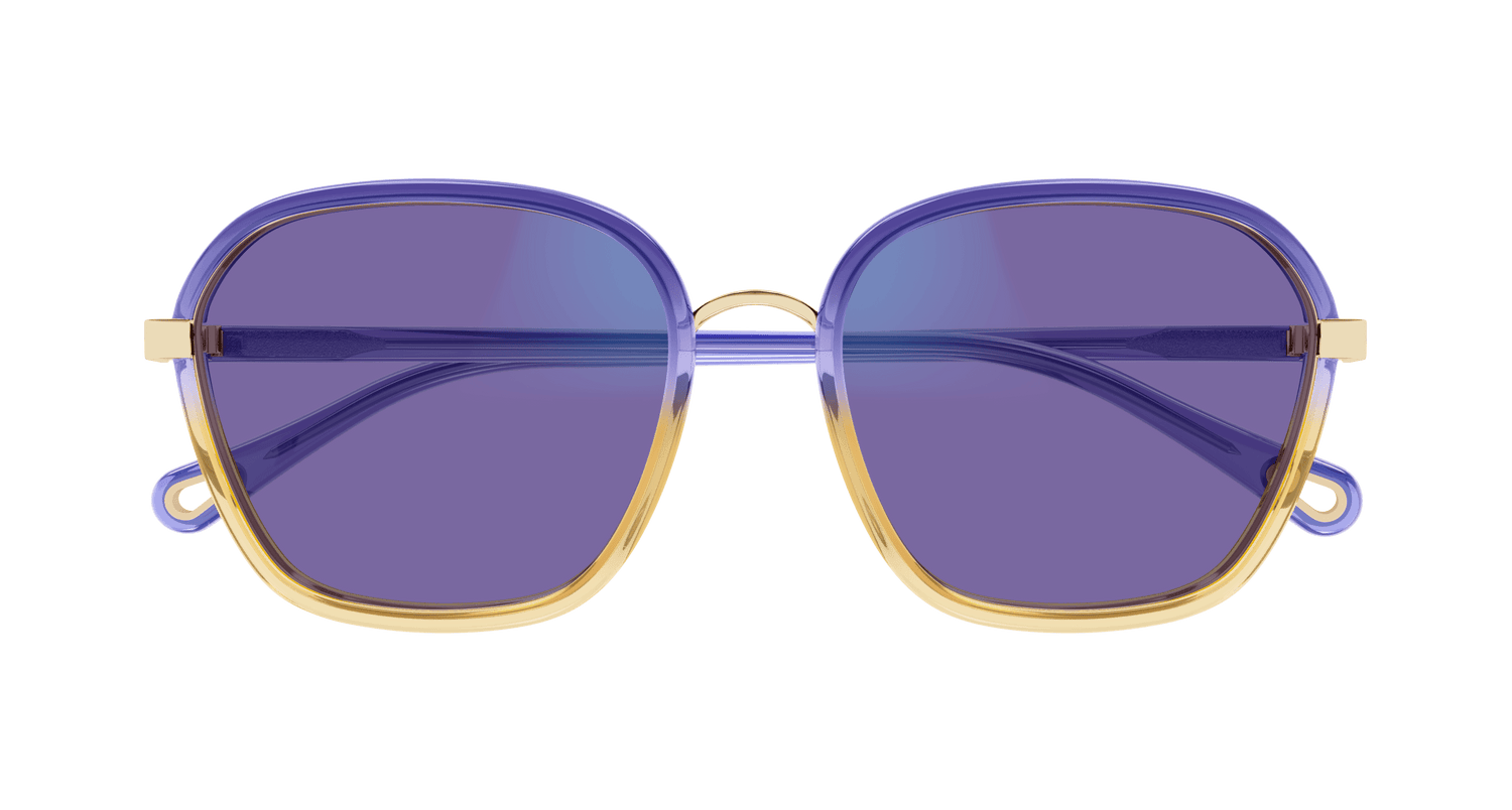 CHLOÉ CH0309S 001 54