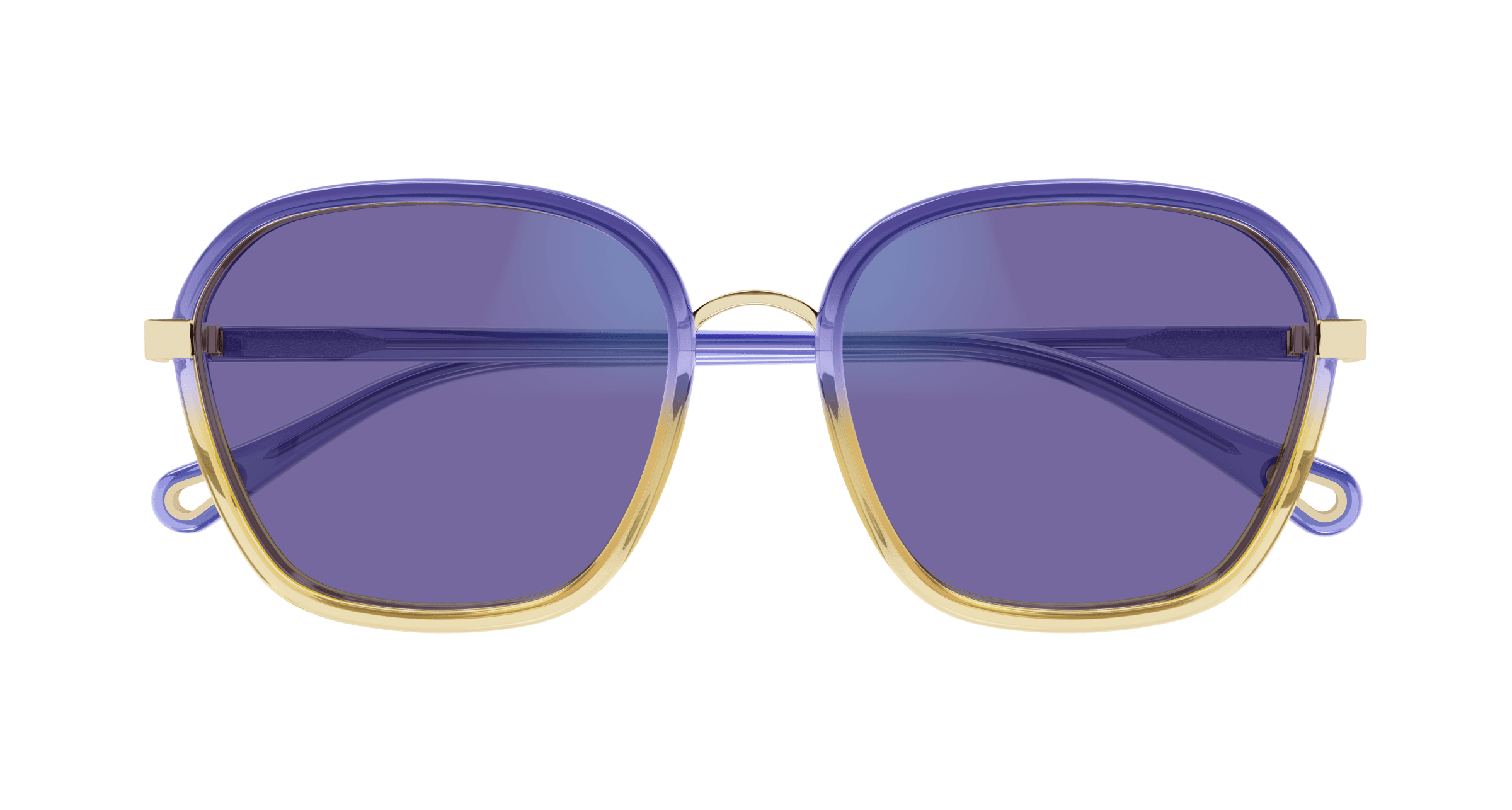 CHLOÉ CH0309S 001 54