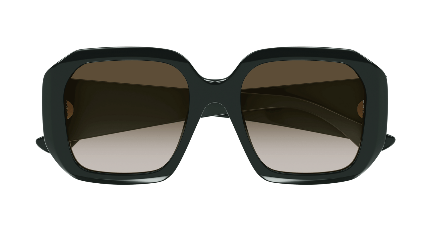 CHLOÉ CH0300S 003 54