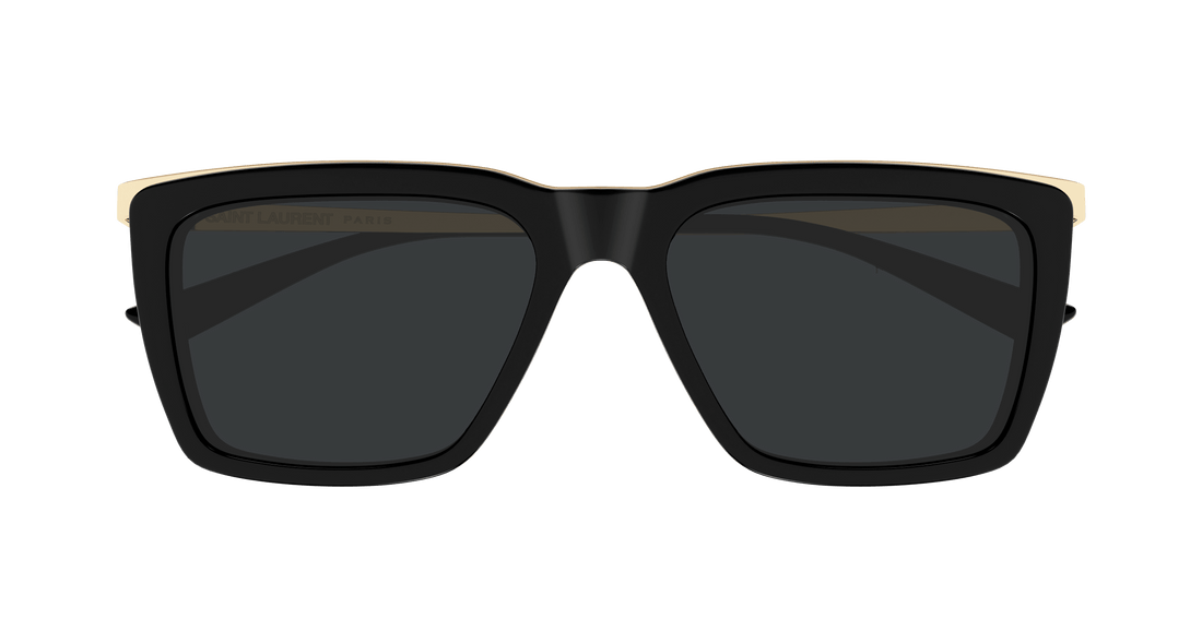 SAINT LAURENT SL 765 001 56