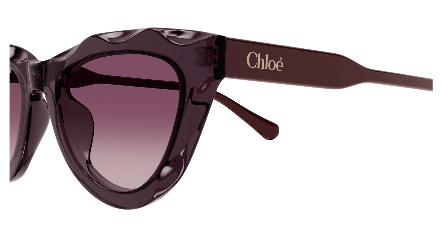 CHLOÉ CH0294S 002 52