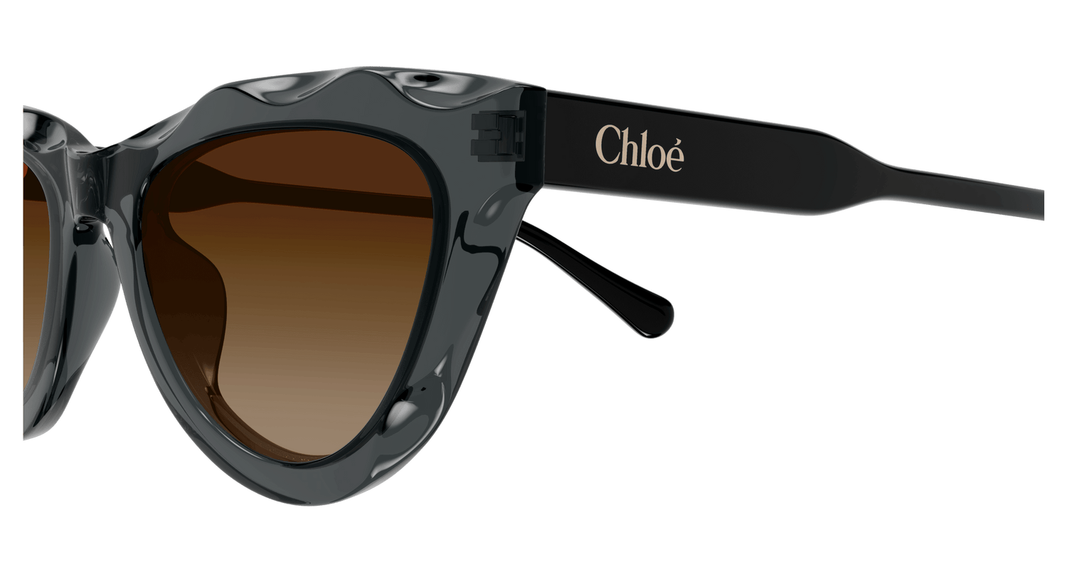 CHLOÉ CH0294S 005 52