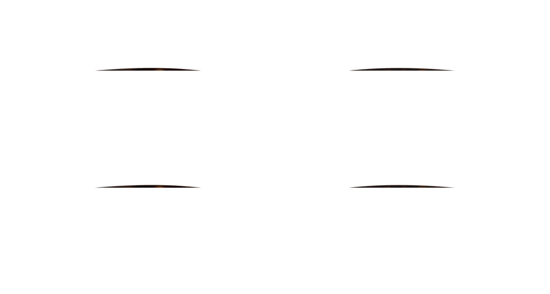 SAINT LAURENT SL M146 OPT 002 54