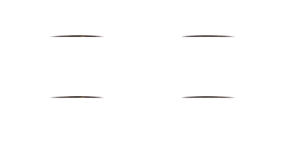 SAINT LAURENT SL M146 OPT 002 54