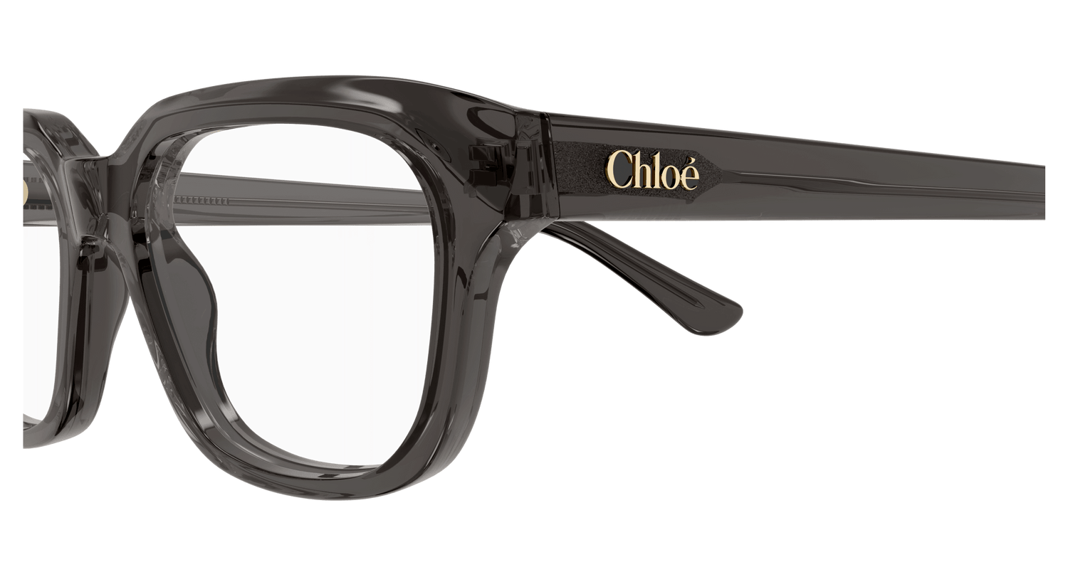 CHLOÉ CH0292O 001 51