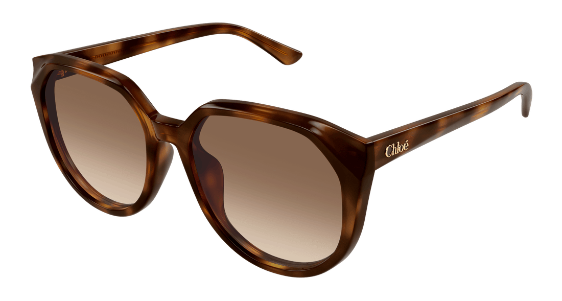 Translation missing: es.seo.product.type.gafas-de-sol chloé ch0291sk 003 havana square femenino talla 58mm - Translation missing: es.seo.product.alt.imagen-principal