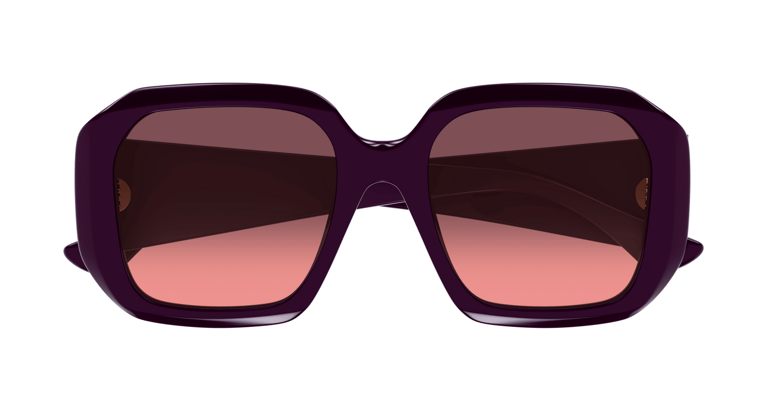 CHLOÉ CH0300S 004 54