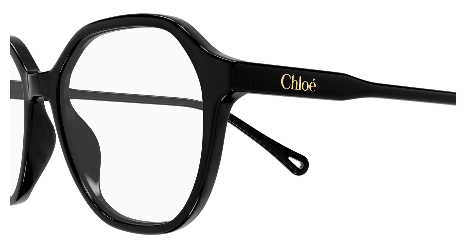 CHLOÉ CH0312O 001 53