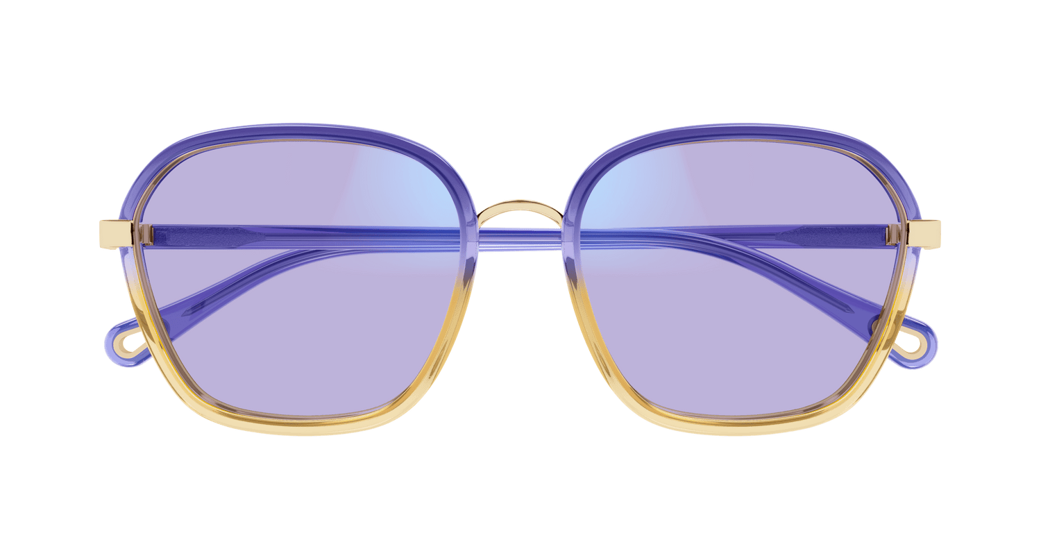 CHLOÉ CH0309S 001 54