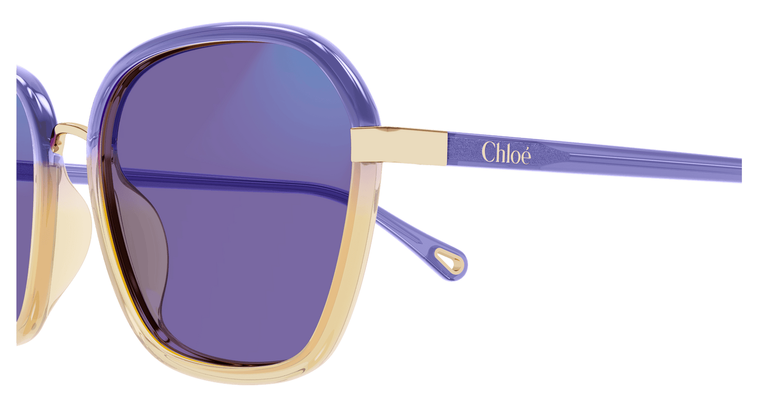 CHLOÉ CH0309S 001 54