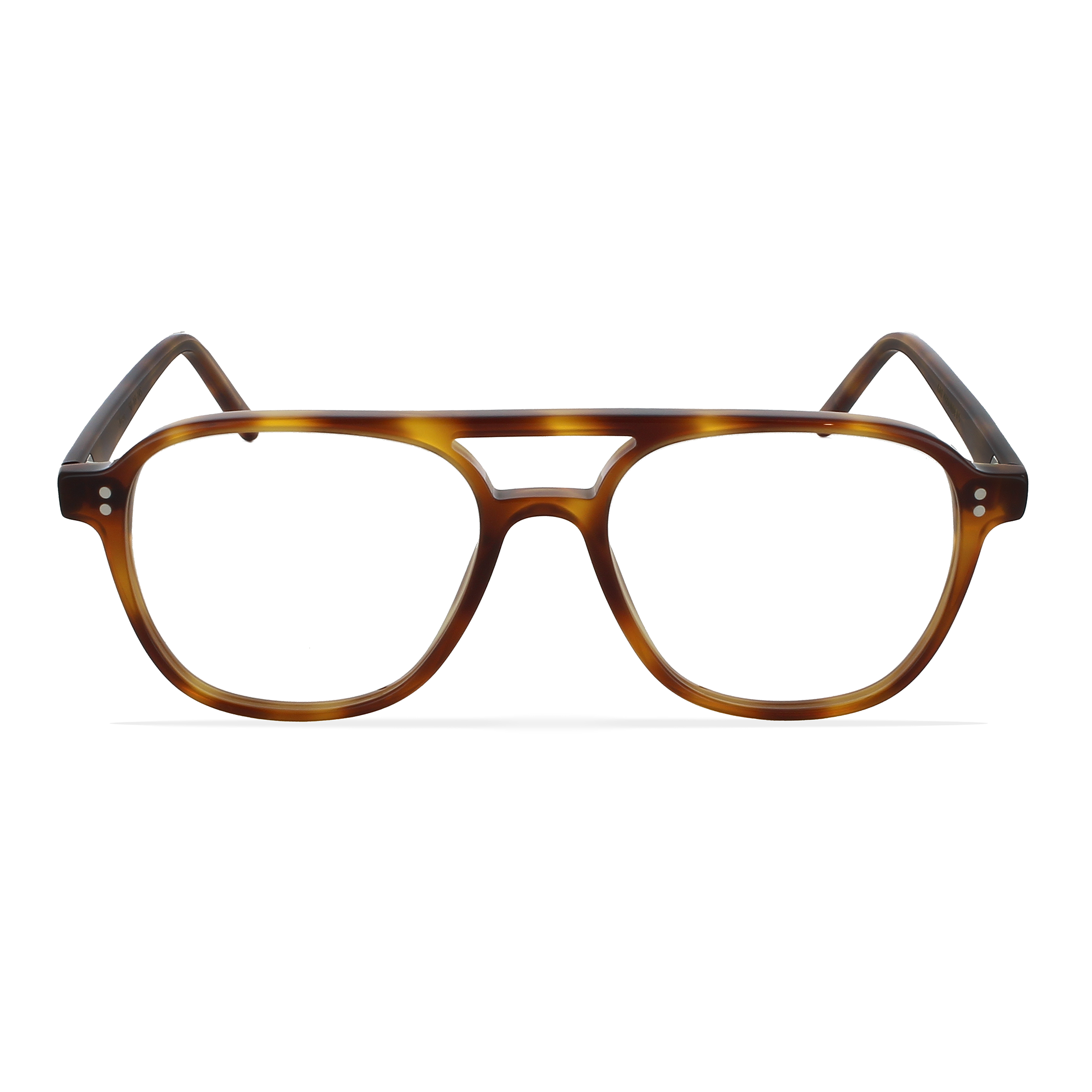 GREYHOUNDERS ARES HAVANA 99