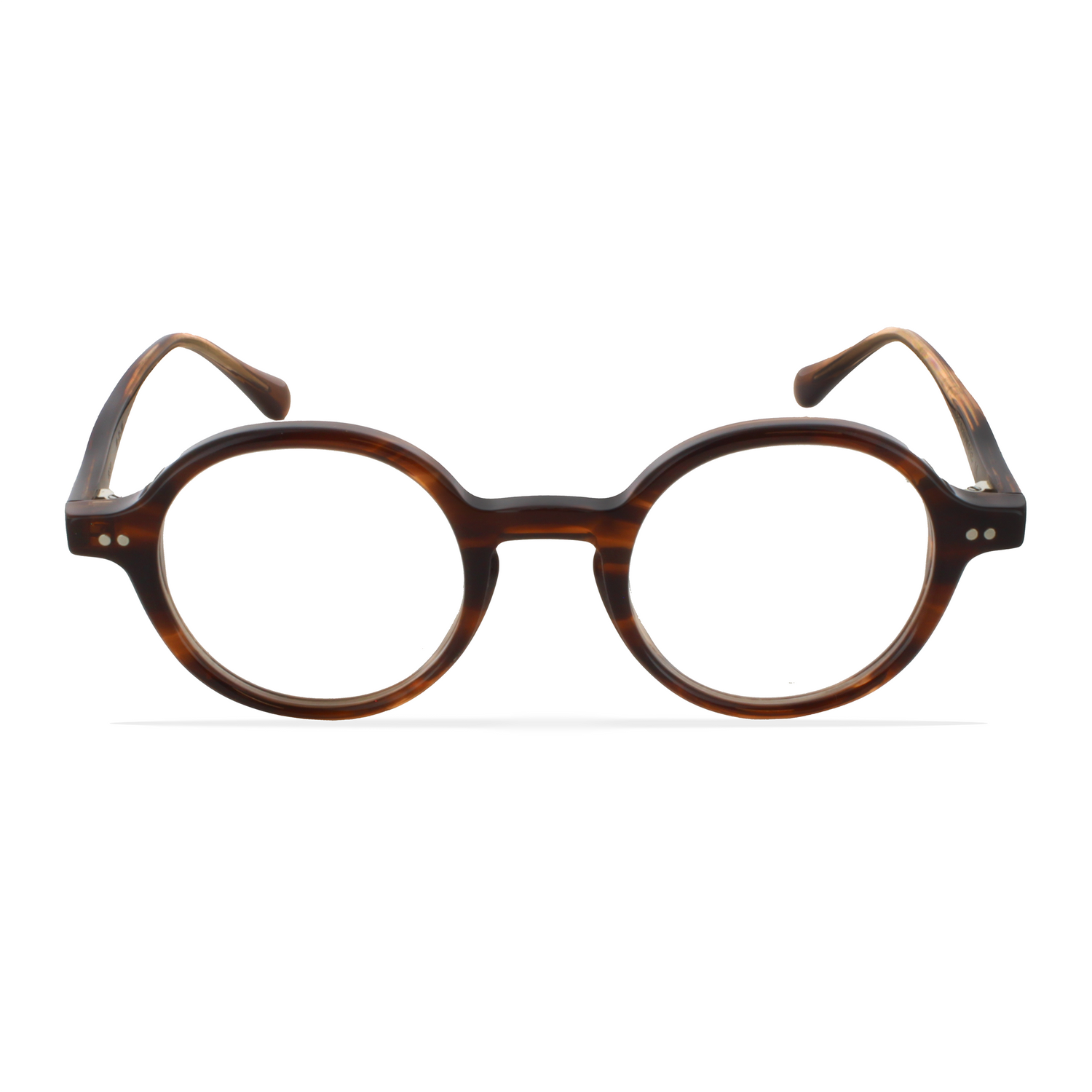 GREYHOUNDERS BLED HAVANA 44