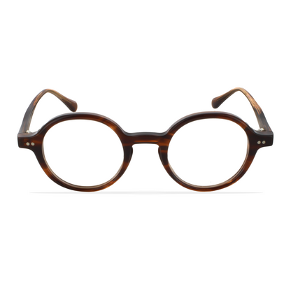 GREYHOUNDERS BLED HAVANA 44