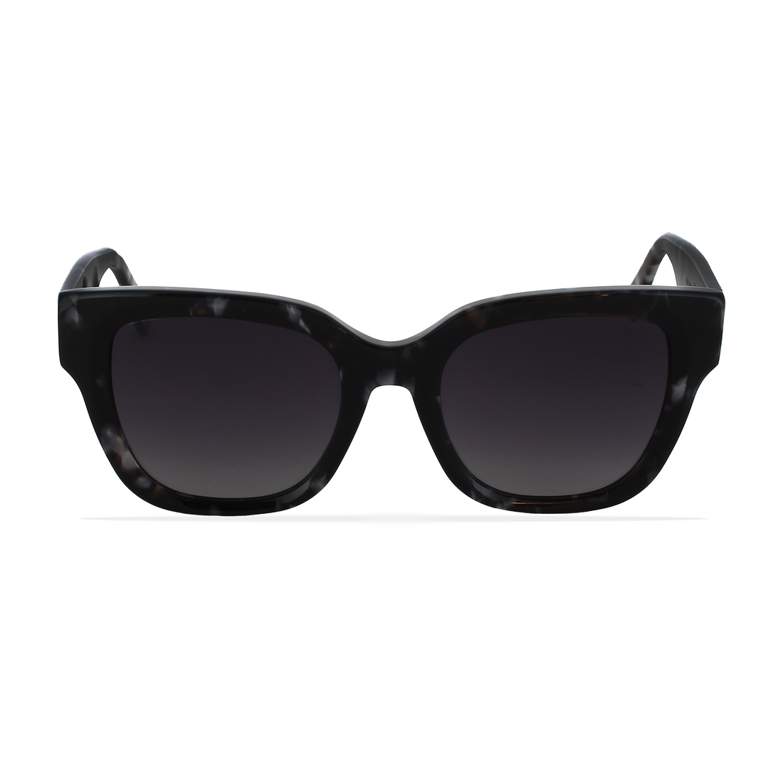 GREYHOUNDERS LYRA BLACK HAVANA 52