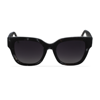 GREYHOUNDERS LYRA BLACK HAVANA 52