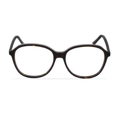 GREYHOUNDERS PIRAN HAVANA 53