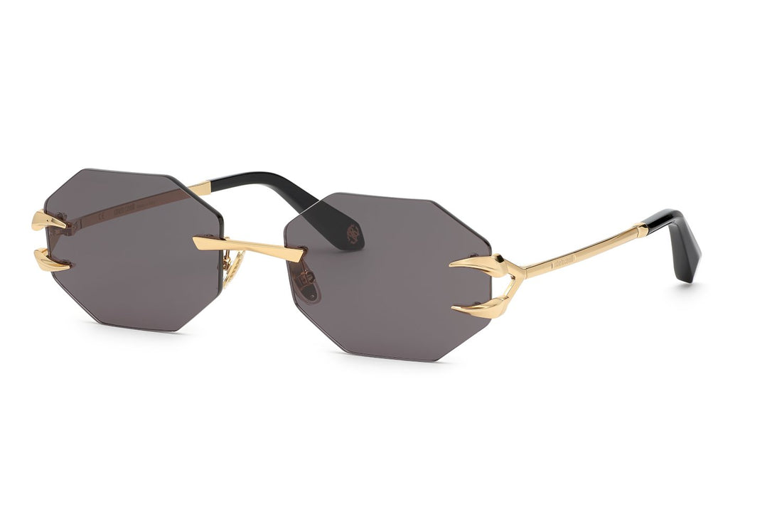 ROBERTO CAVALLI SRC005 0300 59