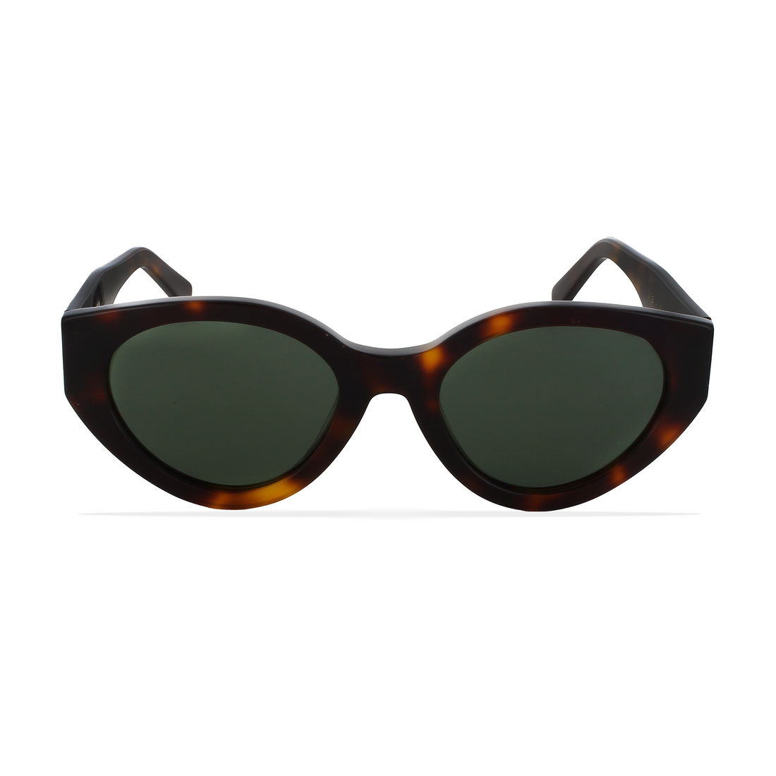 GREYHOUNDERS SIROCO HAVANA 51