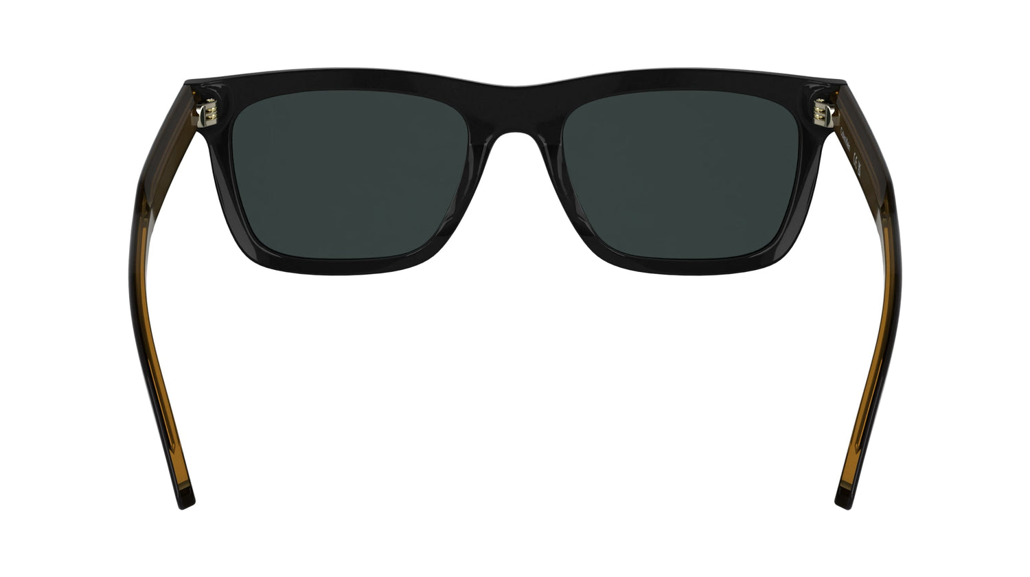 CALVIN KLEIN CK25506S 001 54