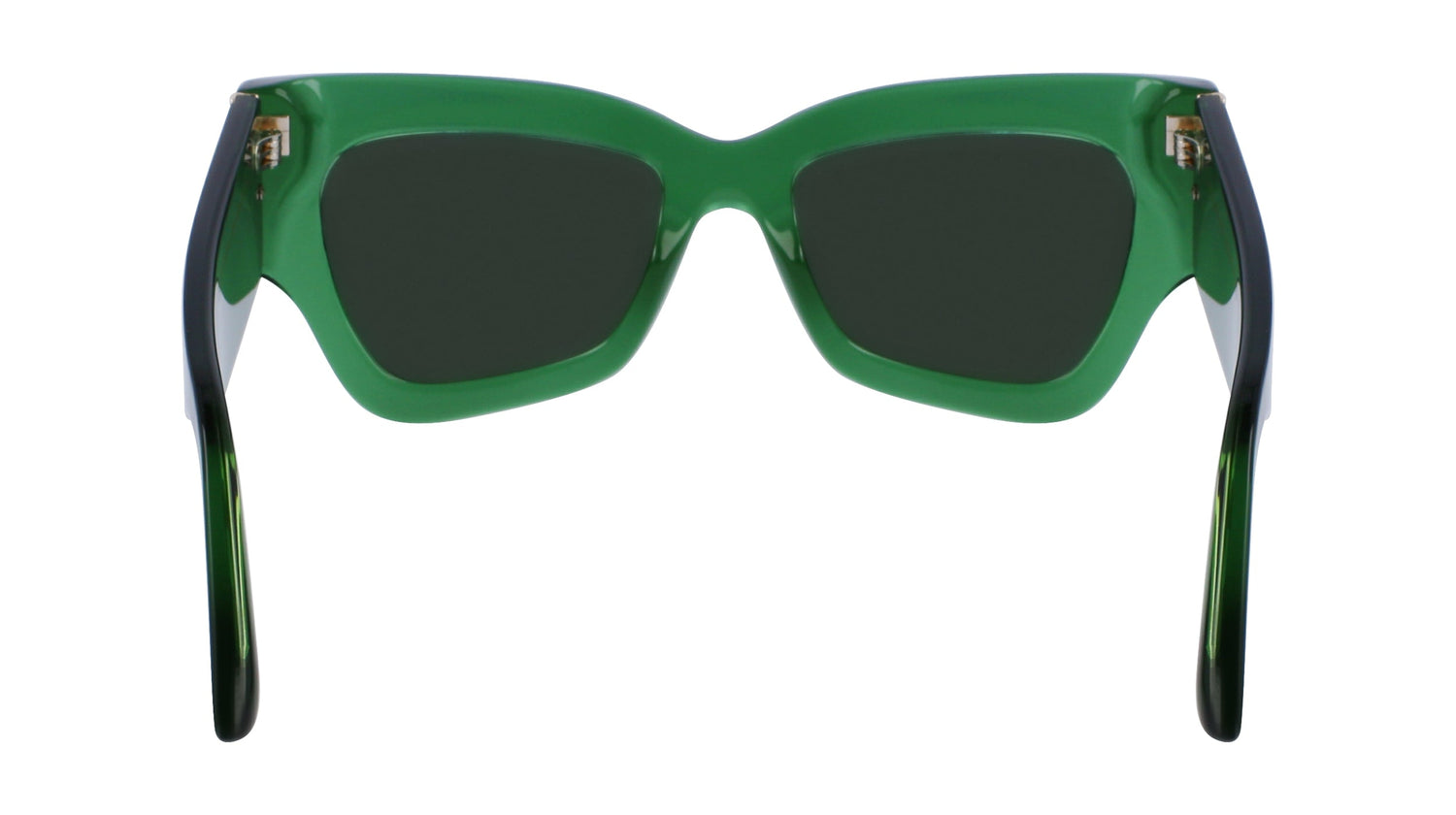 VICTORIA BECKHAM VB662S 300 52