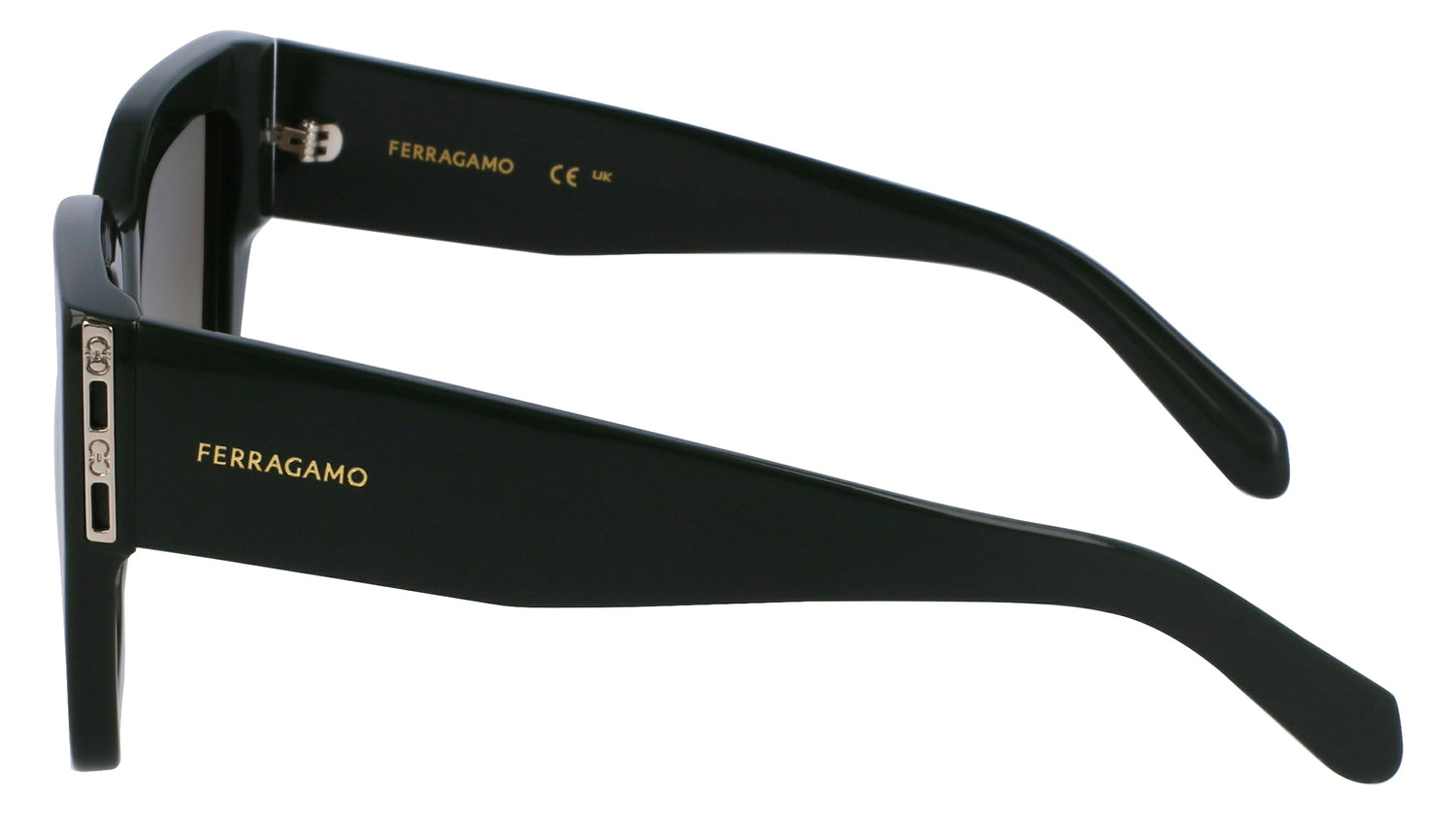 FERRAGAMO SF1104S 302 55