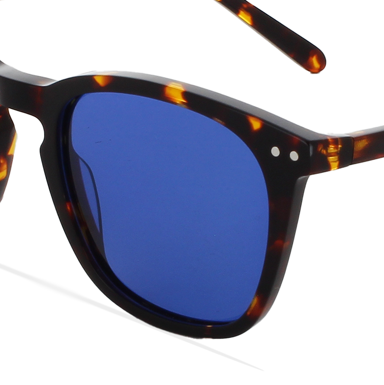 GREYHOUNDERS CENIT HAVANA 50