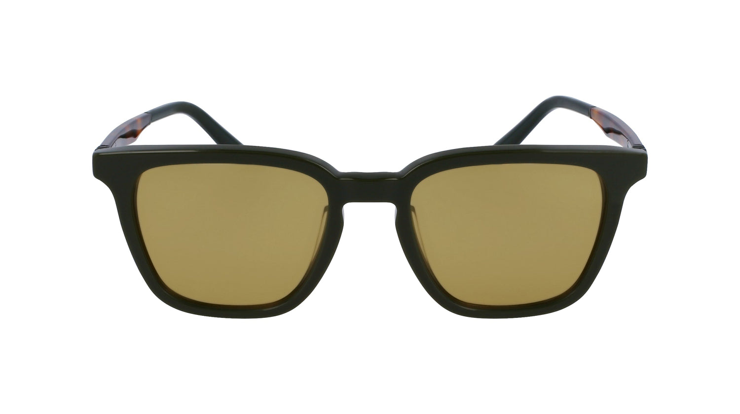 FERRAGAMO SF1100S 302 52