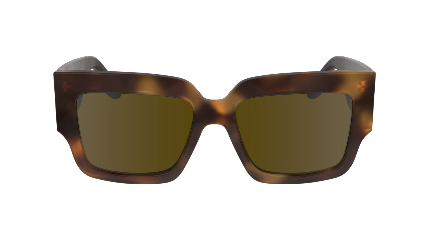 VICTORIA BECKHAM VB667S 215 53