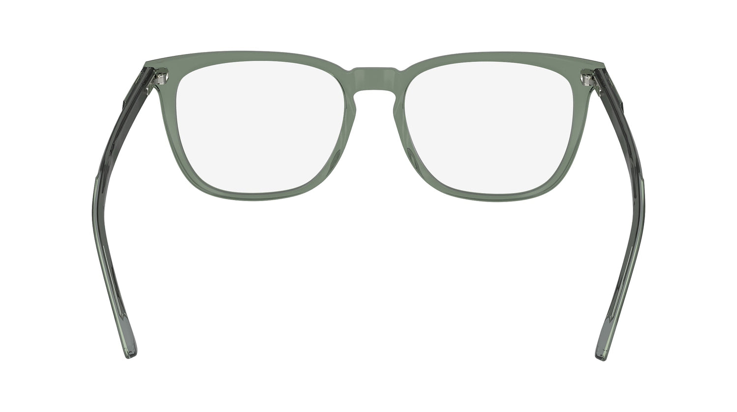 CALVIN KLEIN CK24519 300 53