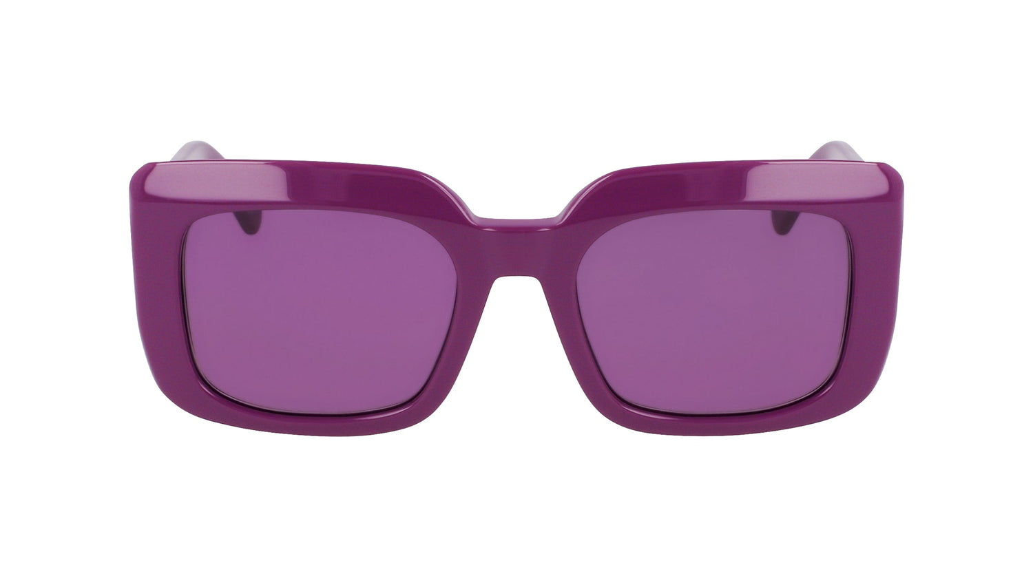 LONGCHAMP LO753S 500 51