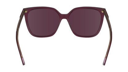 CALVIN KLEIN CK24509S 613 56