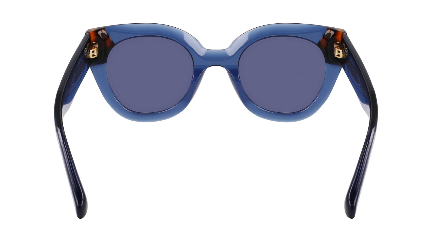 LONGCHAMP LO750S 430 49