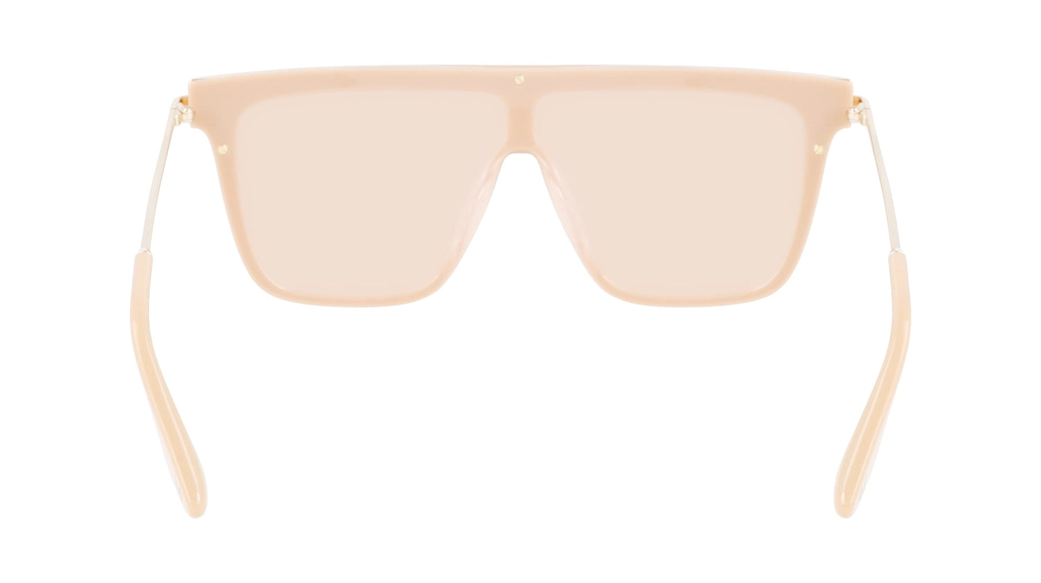 VICTORIA BECKHAM VB650S 243 53