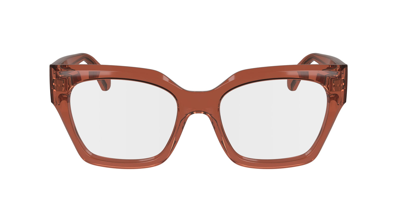 FERRAGAMO SF2983 224 53