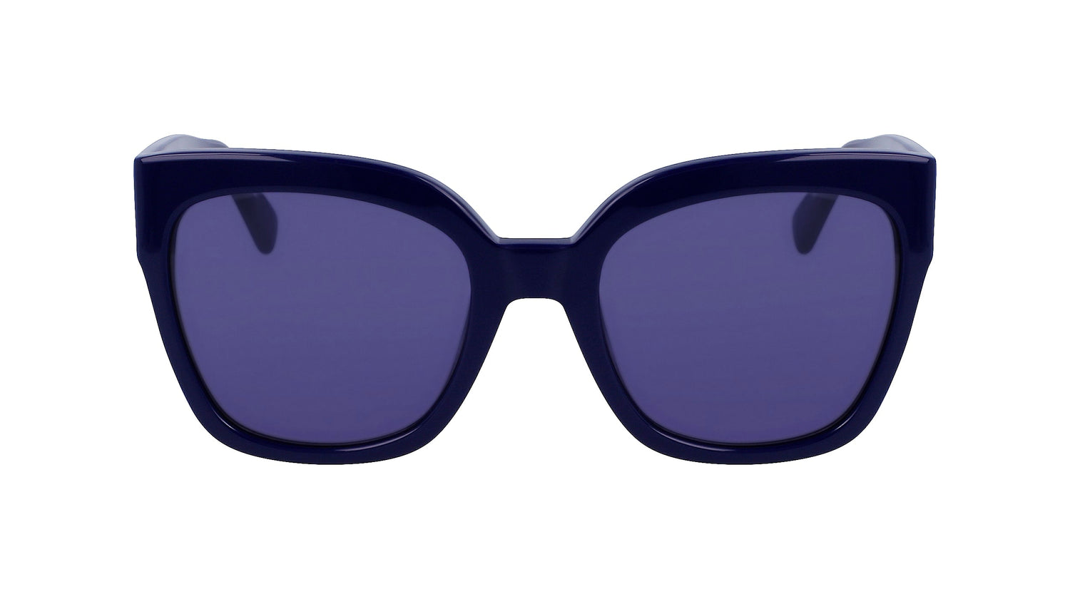 LONGCHAMP LO717S 400 55