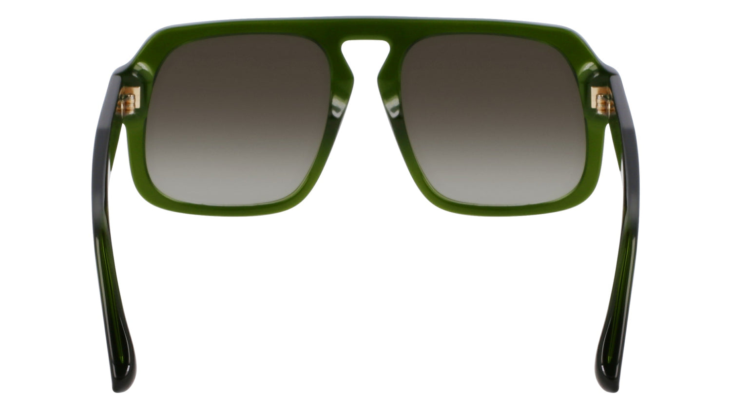 VICTORIA BECKHAM VB674S 302 53