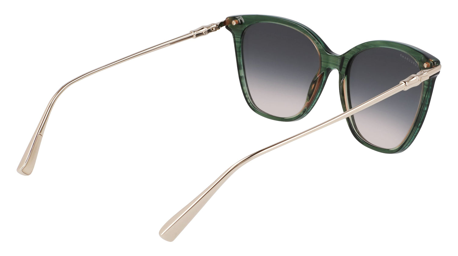 LONGCHAMP LO757S 308 55