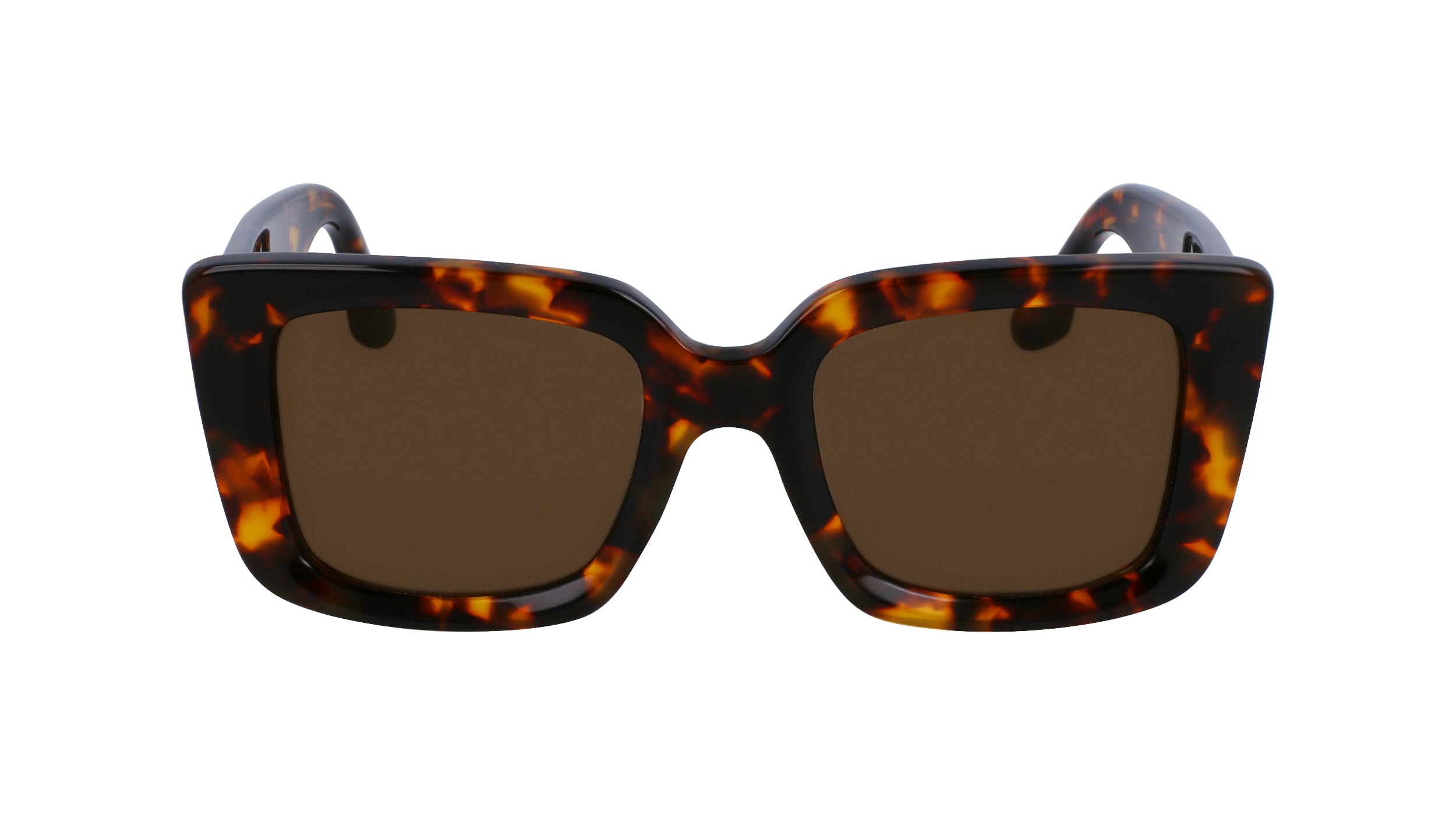VICTORIA BECKHAM VB653S 234 52