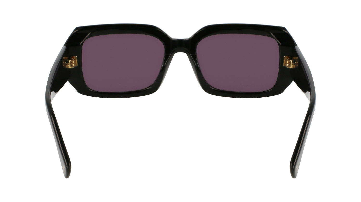 LONGCHAMP LO765S 001 53