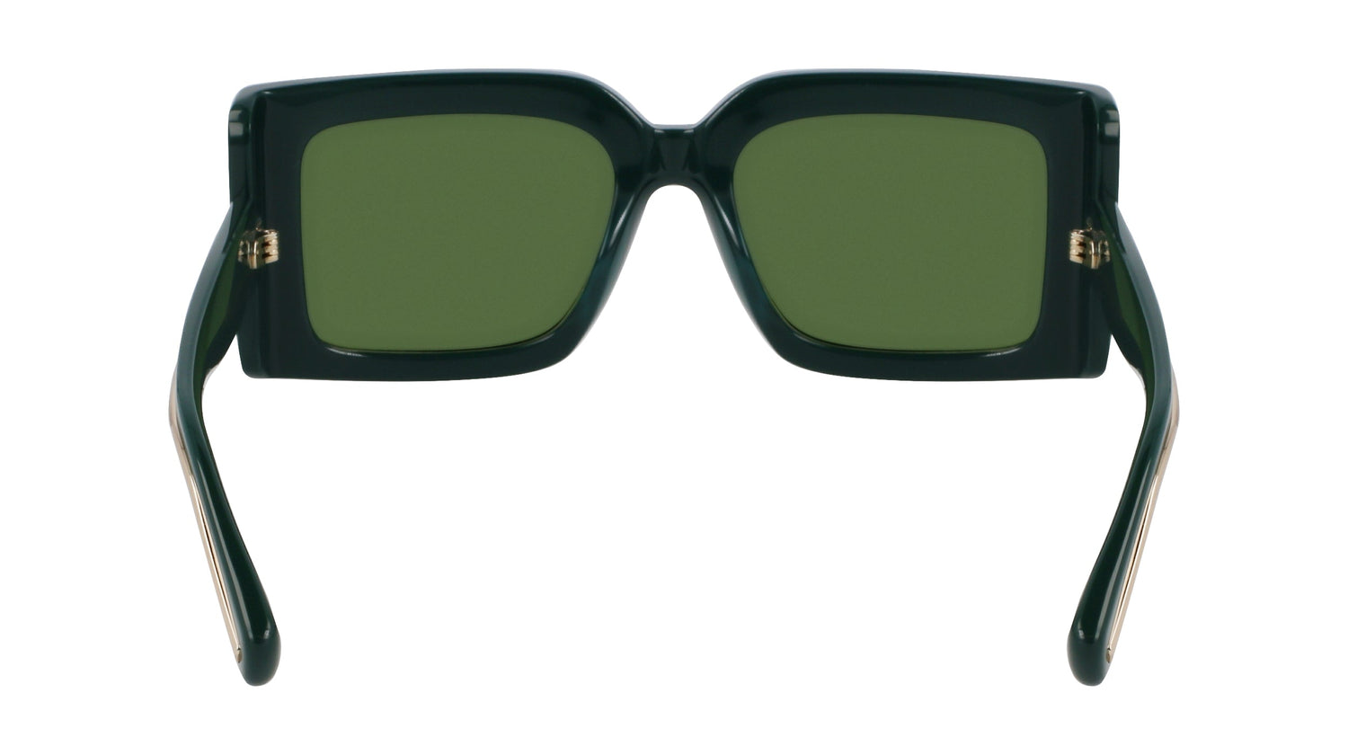 FERRAGAMO SF2032S 302 55