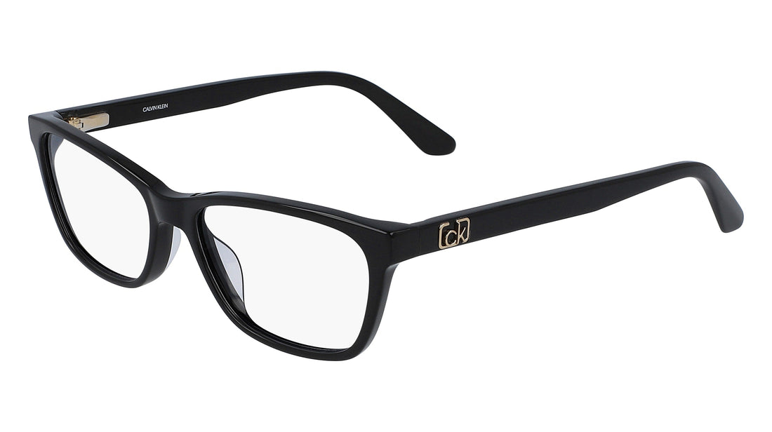 CALVIN KLEIN CK20530 001 53