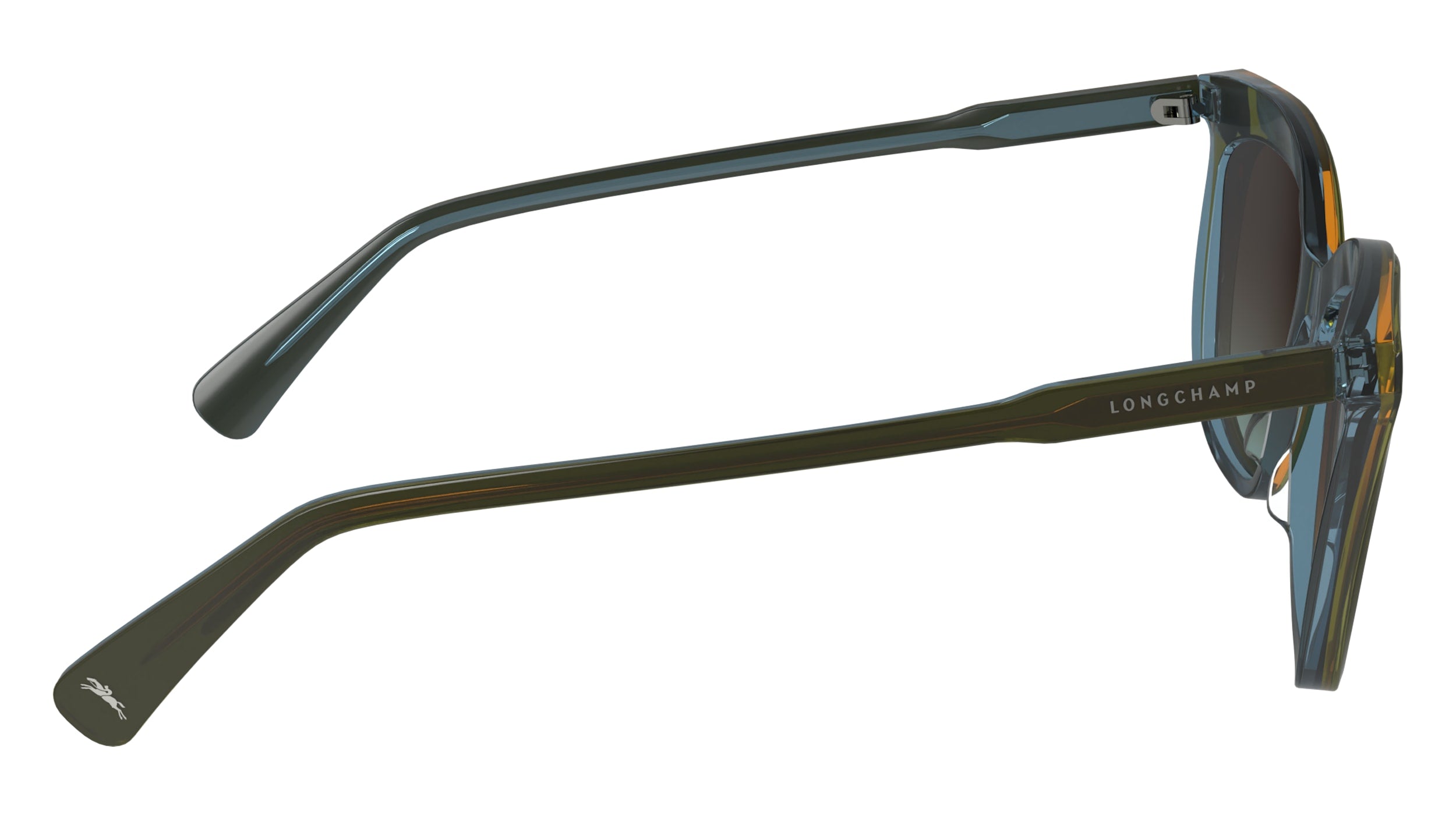 LONGCHAMP LO738S 310 53