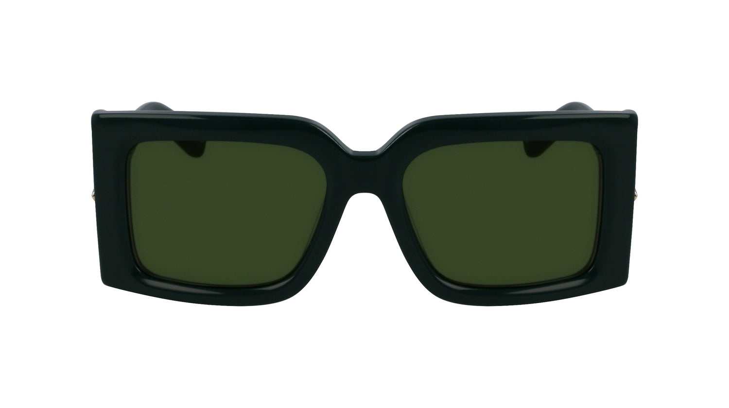 FERRAGAMO SF2032S 302 55