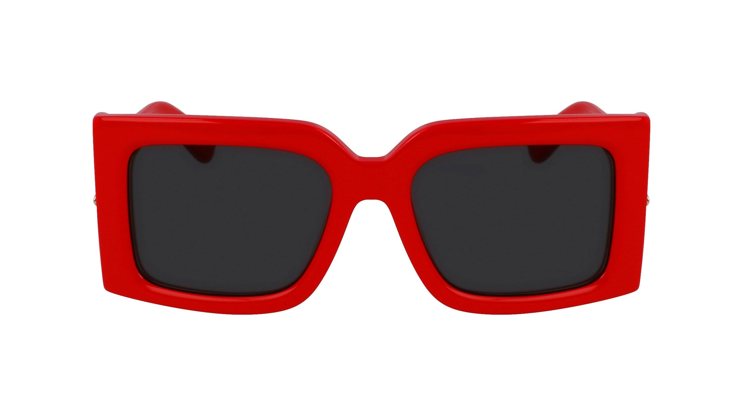 FERRAGAMO SF2032S 600 55