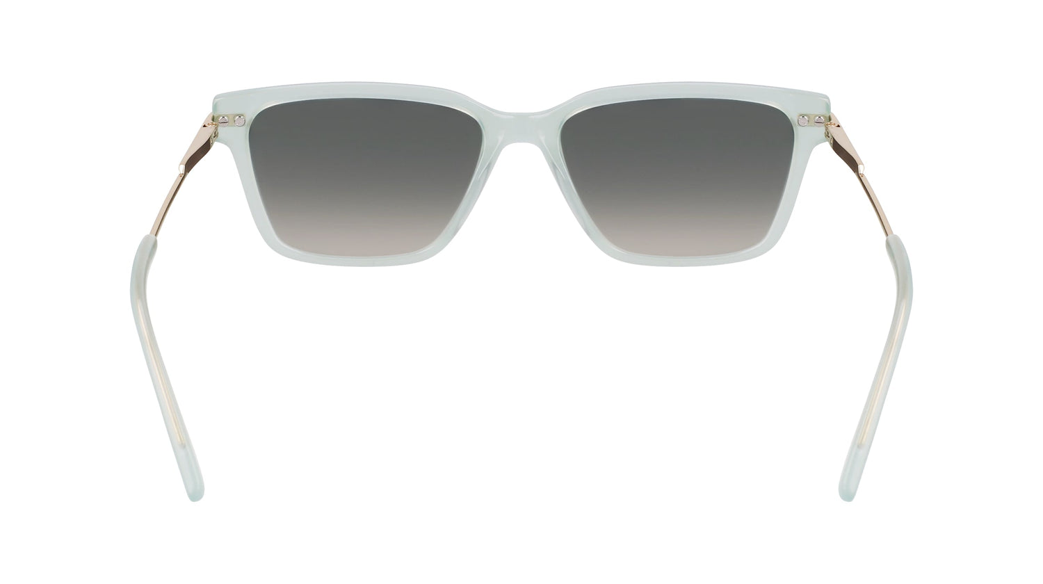 DKNY DK713S 310 56