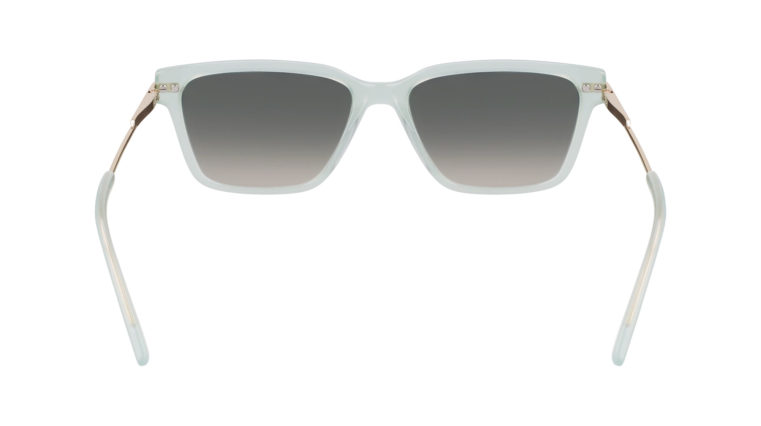 DKNY DK713S 310 56